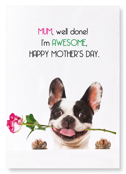 MUM, I'M AWESOME: Funny Animal Art Print