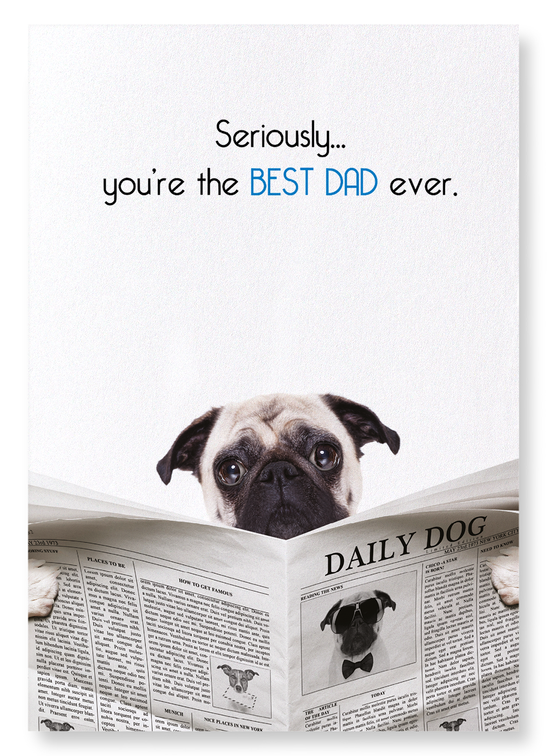 BEST DAD EVER: Funny Animal Art Print
