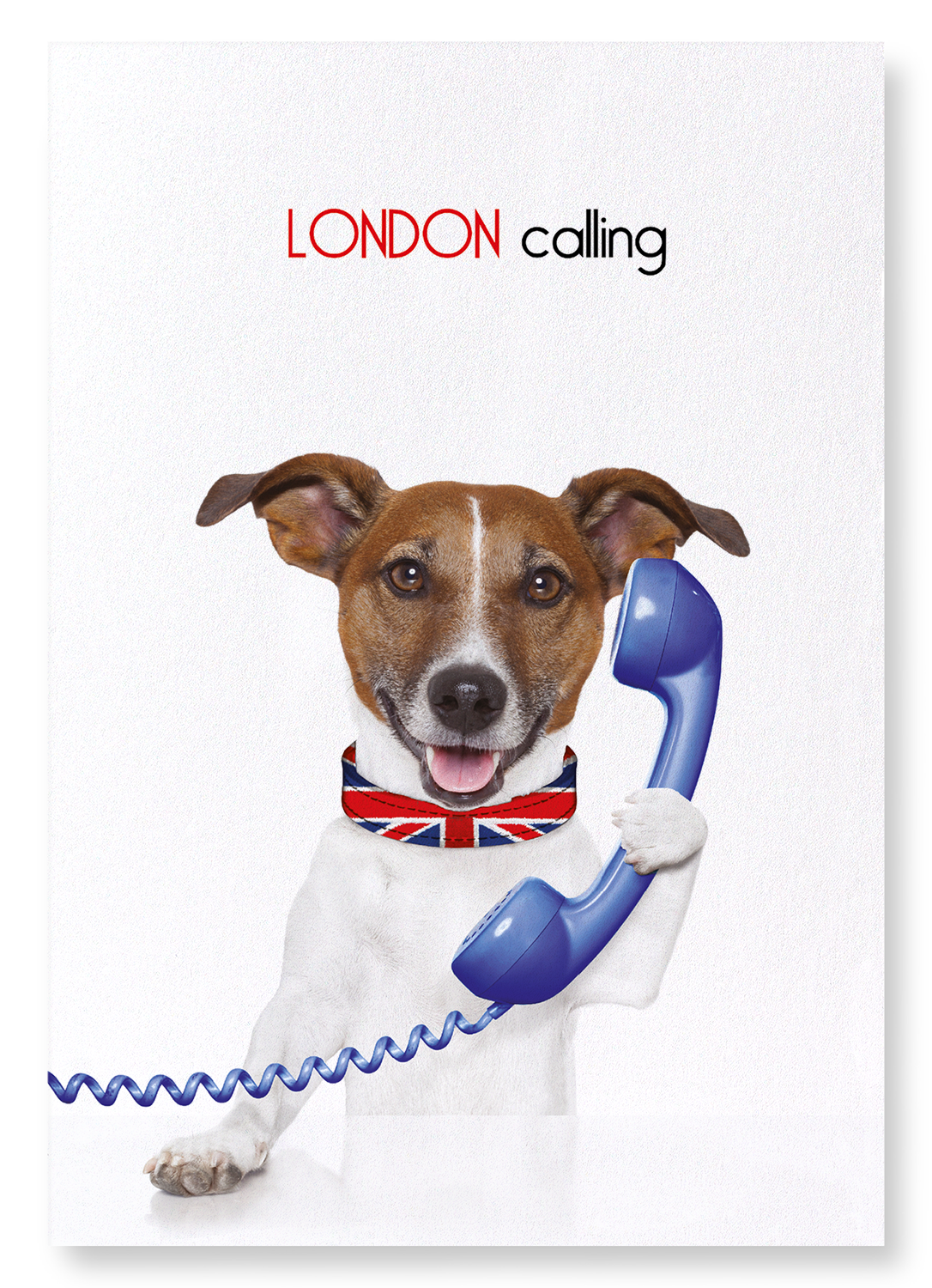 LONDON CALLING: Funny Animal Art Print
