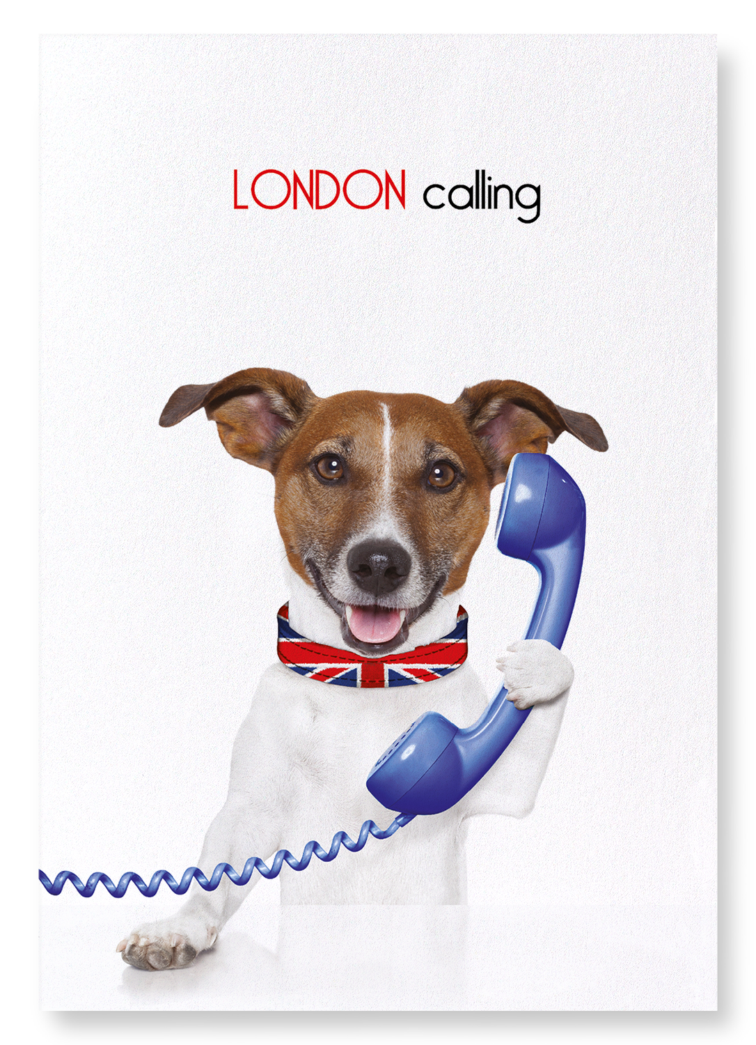 LONDON CALLING: Funny Animal Art print