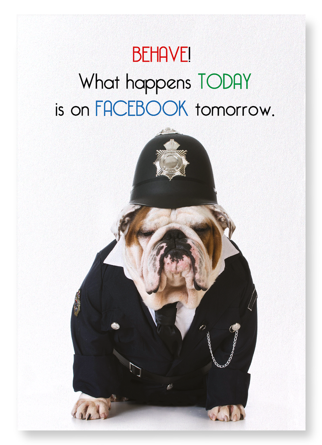 FACEBOOK POLICE: Funny Animal Art print