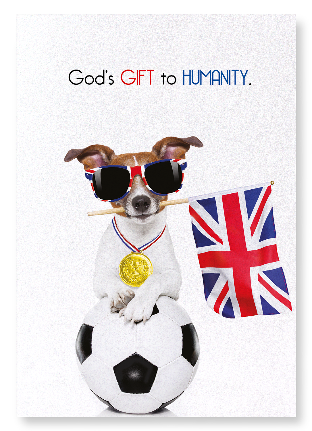 GOD'S GIFT TO HUMANITY : Funny Animal Art print