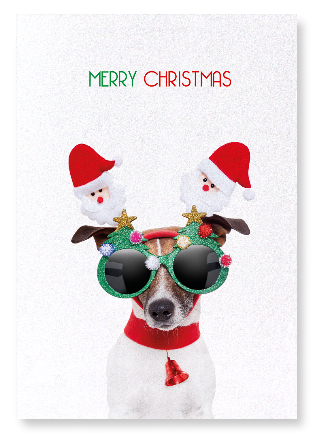 MERRY CHRISTMAS FESTIVE DOG: Funny Animal Art Print