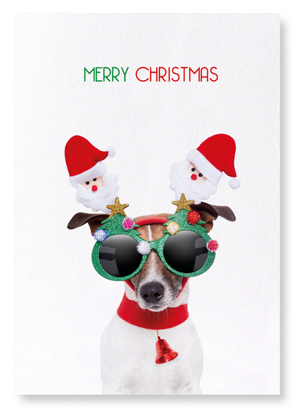 MERRY CHRISTMAS FESTIVE DOG: Funny Animal Art Print