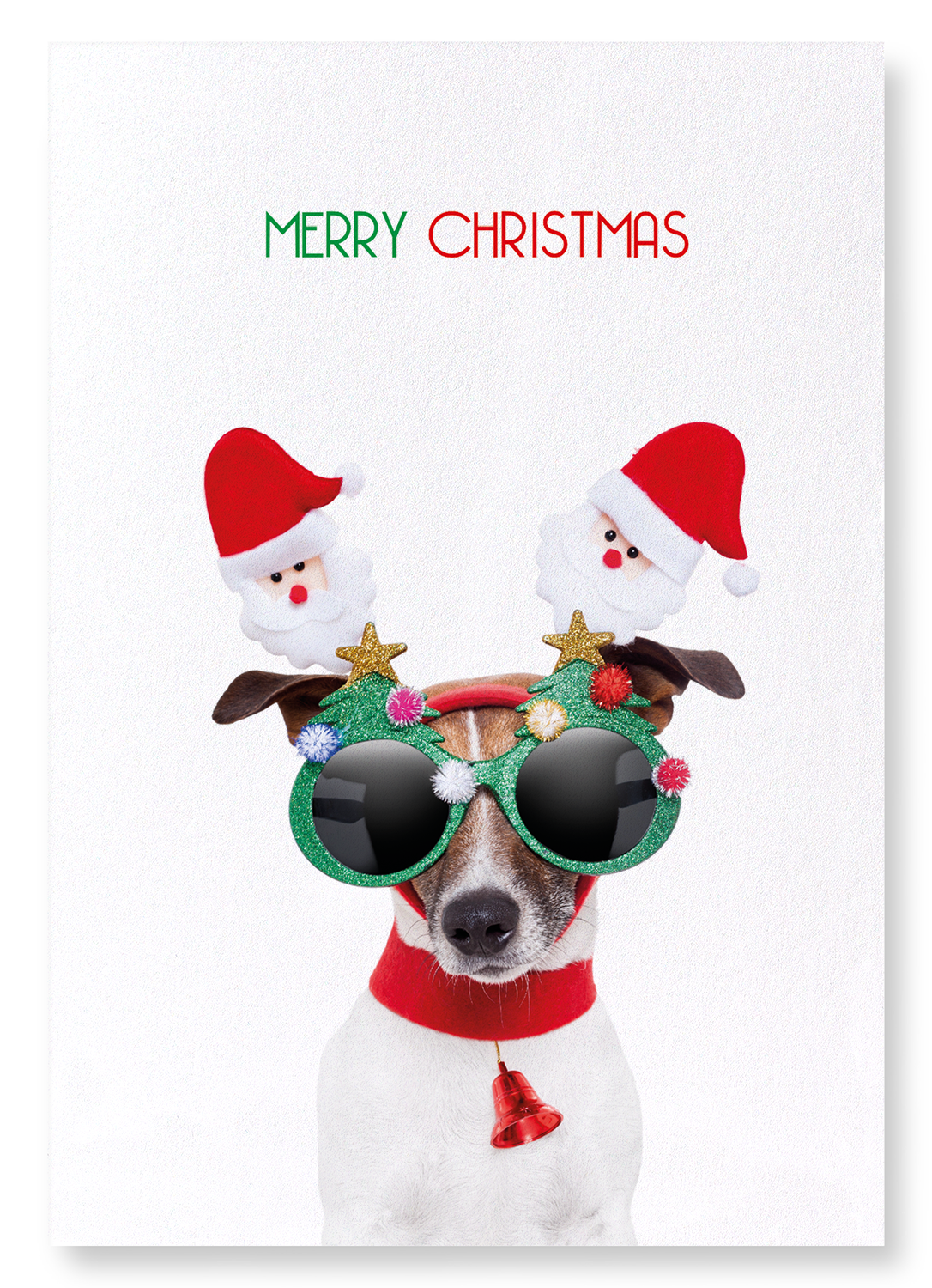 MERRY CHRISTMAS FESTIVE DOG: Funny Animal Art print