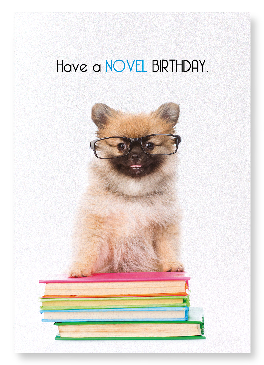 NOVEL BIRTHDAY: Funny Animal Art Print