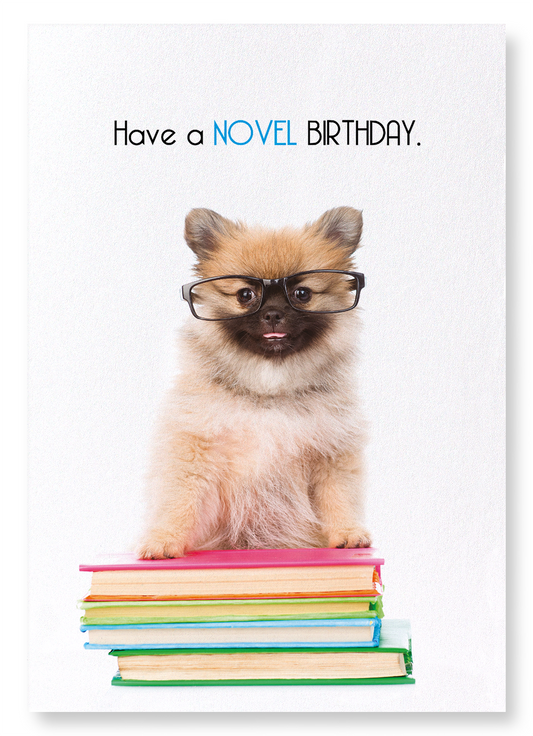 NOVEL BIRTHDAY: Funny Animal Art Print