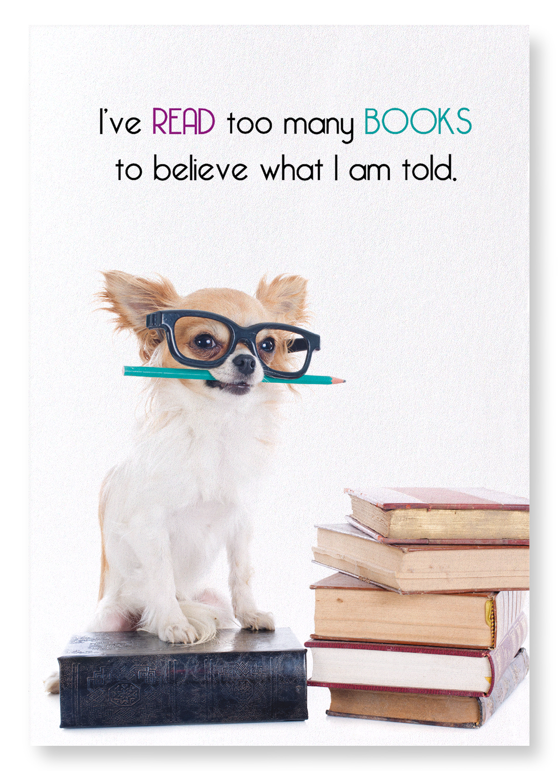 BOOKS KEEP YOU INFORMED: Funny Animal Art Print