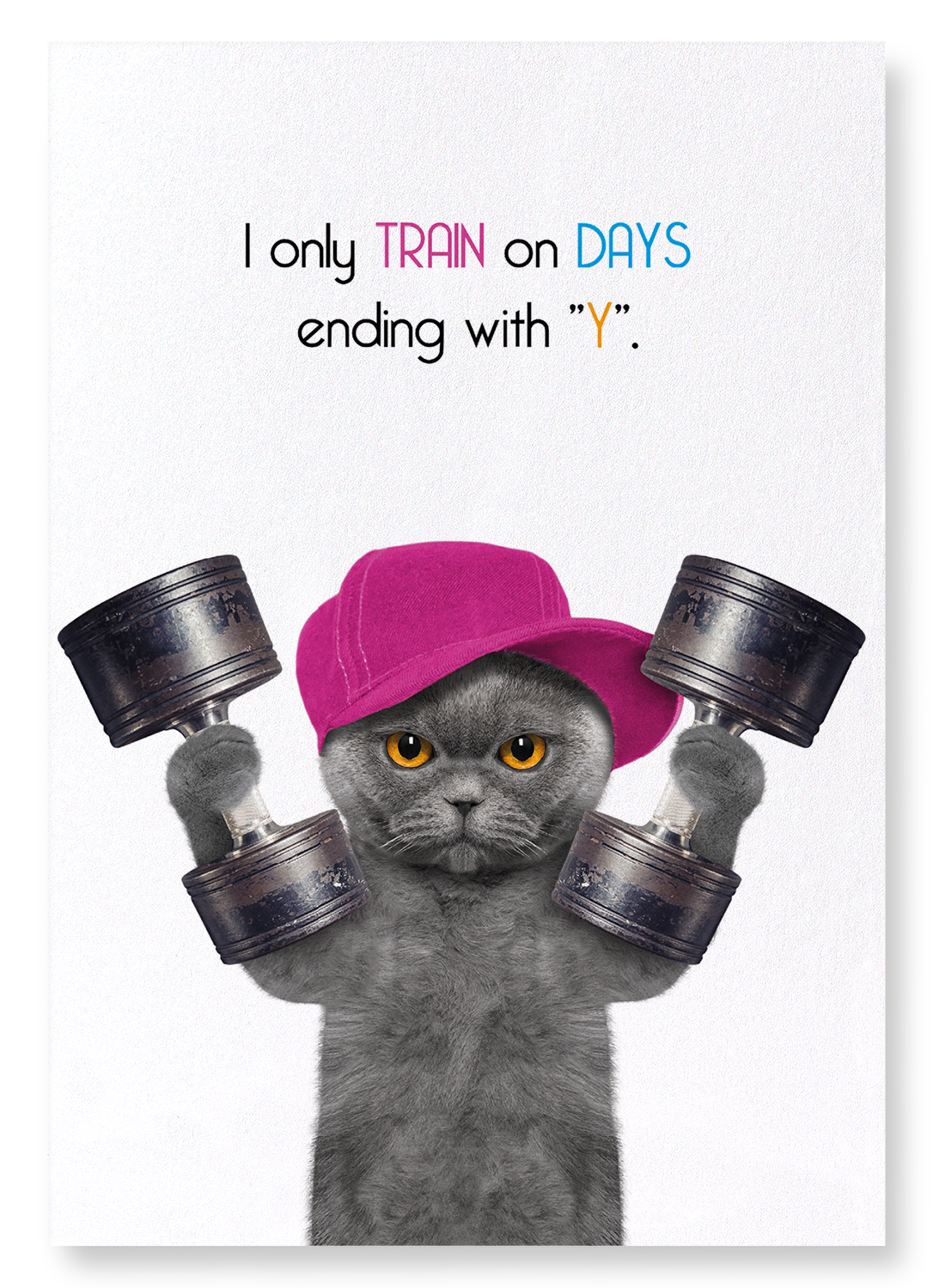 TRAINING EVERYDAY: Funny Animal Art Print