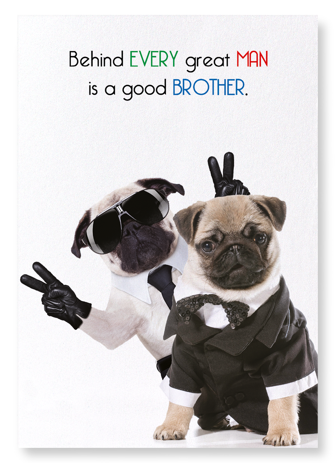 BROTHER MAKES A MAN GREAT: Funny Animal Art Print
