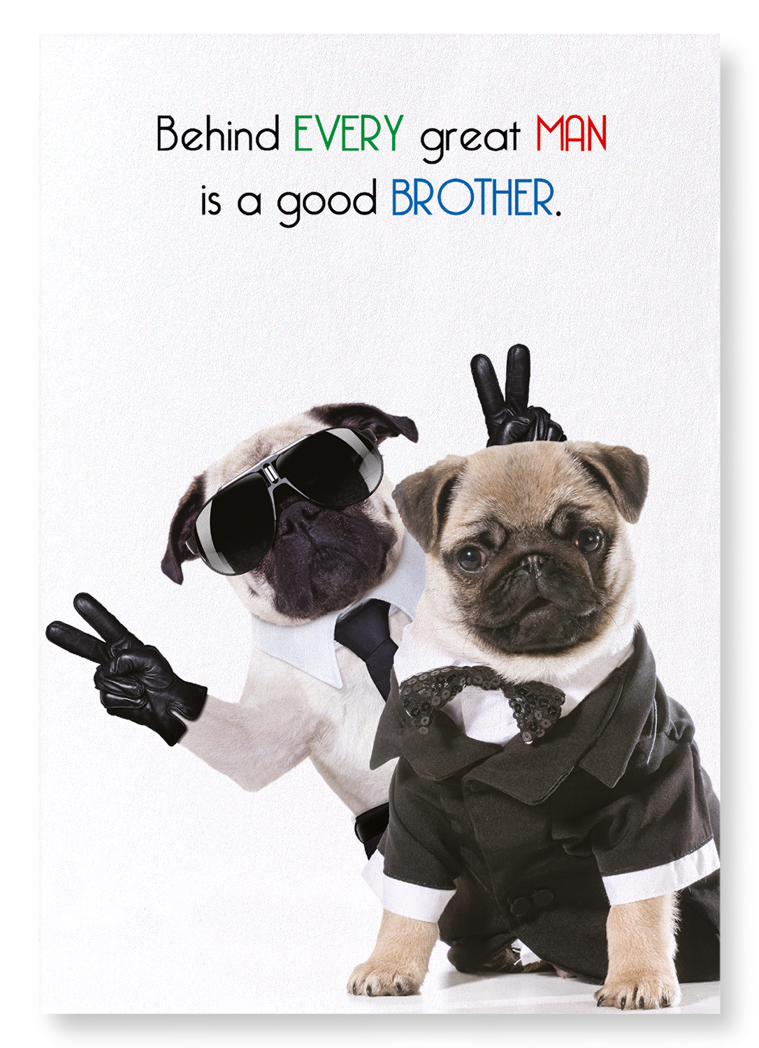 BROTHER MAKES A MAN GREAT: Funny Animal Art print
