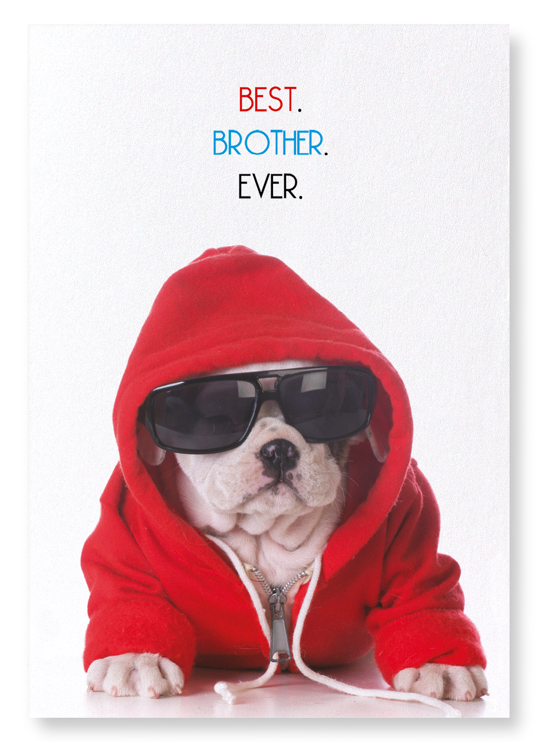 BEST BROTHER EVER: Funny Animal Art Print