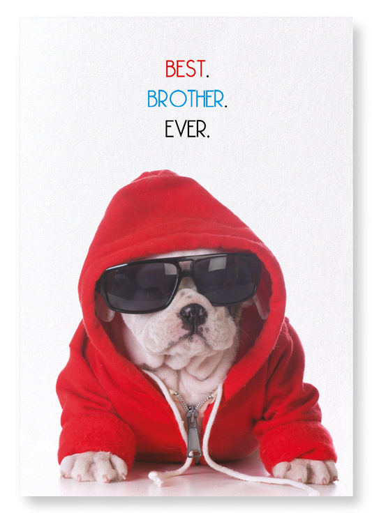BEST BROTHER EVER: Funny Animal Art Print