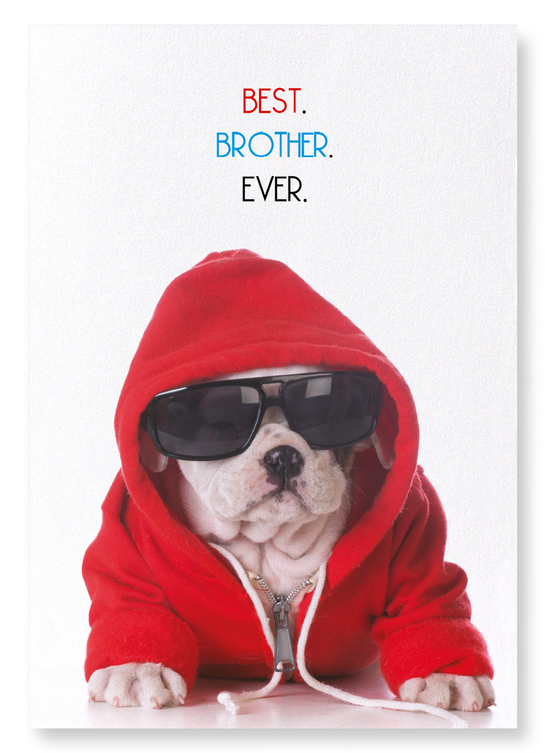 BEST BROTHER EVER: Funny Animal Art print