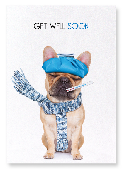 GET WELL SOON FRENCHIE : Funny Animal Art Print