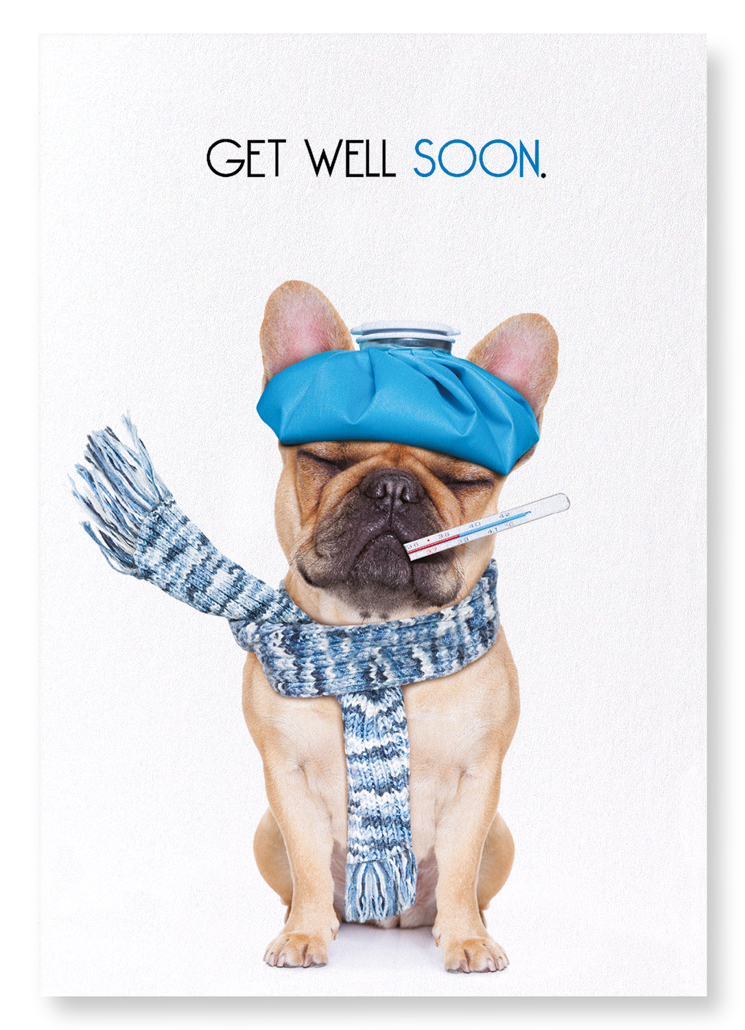 GET WELL SOON FRENCHIE : Funny Animal Art print