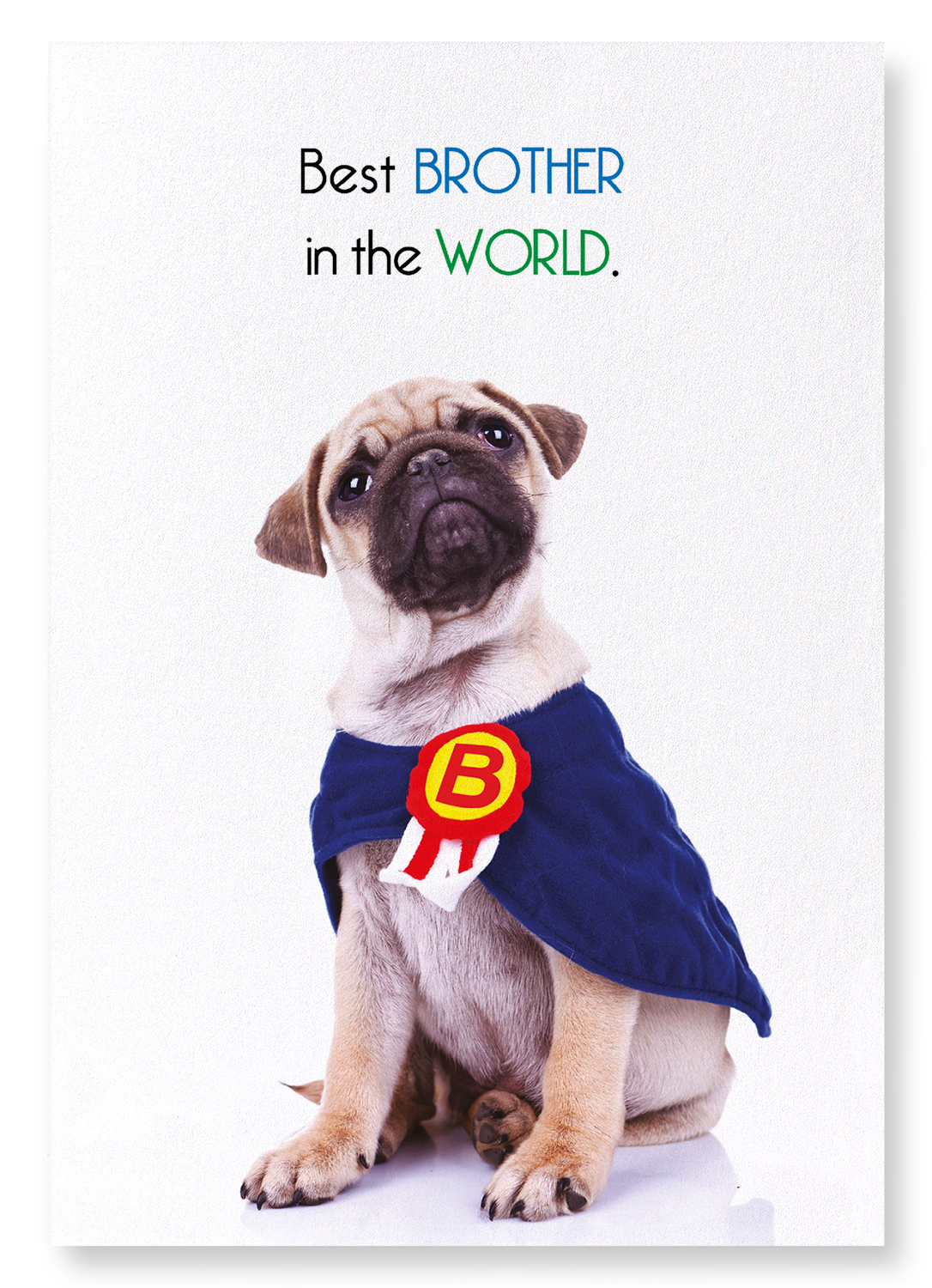 BEST BROTHER IN THE WORLD: Funny Animal Art Print