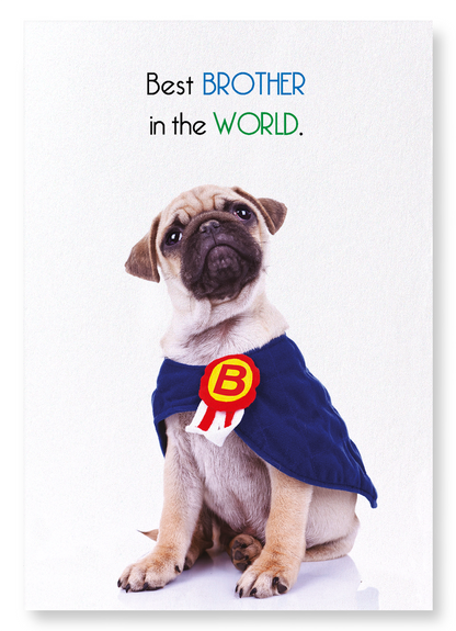 BEST BROTHER IN THE WORLD: Funny Animal Art Print