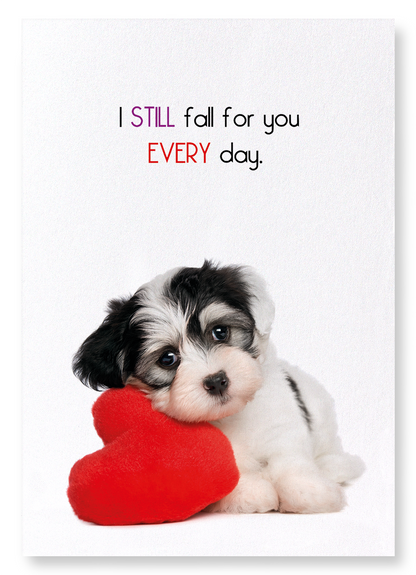 FALL FOR YOU EVERY DAY: Funny Animal Art Print