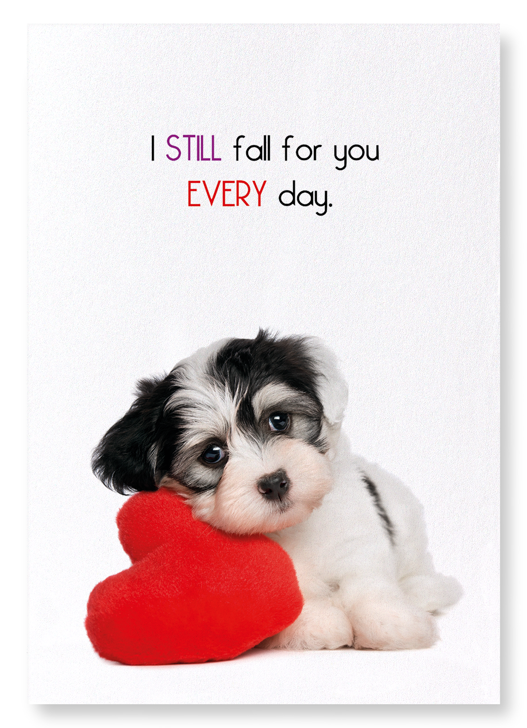FALL FOR YOU EVERY DAY: Funny Animal Art print