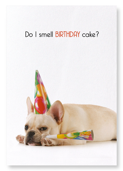 DO I SMELL BIRTHDAY CAKE?: Funny Animal Art Print