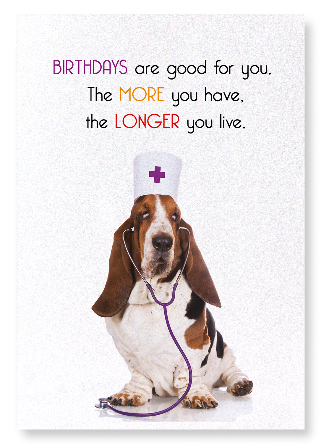BIRTHDAYS ARE GOOD: Funny Animal Art Print