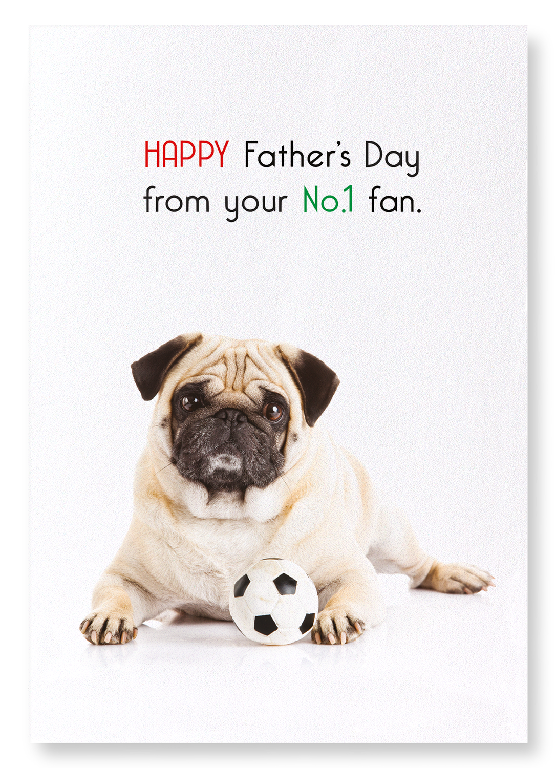 FATHER'S DAY NO.1 FAN: Funny Animal Art Print