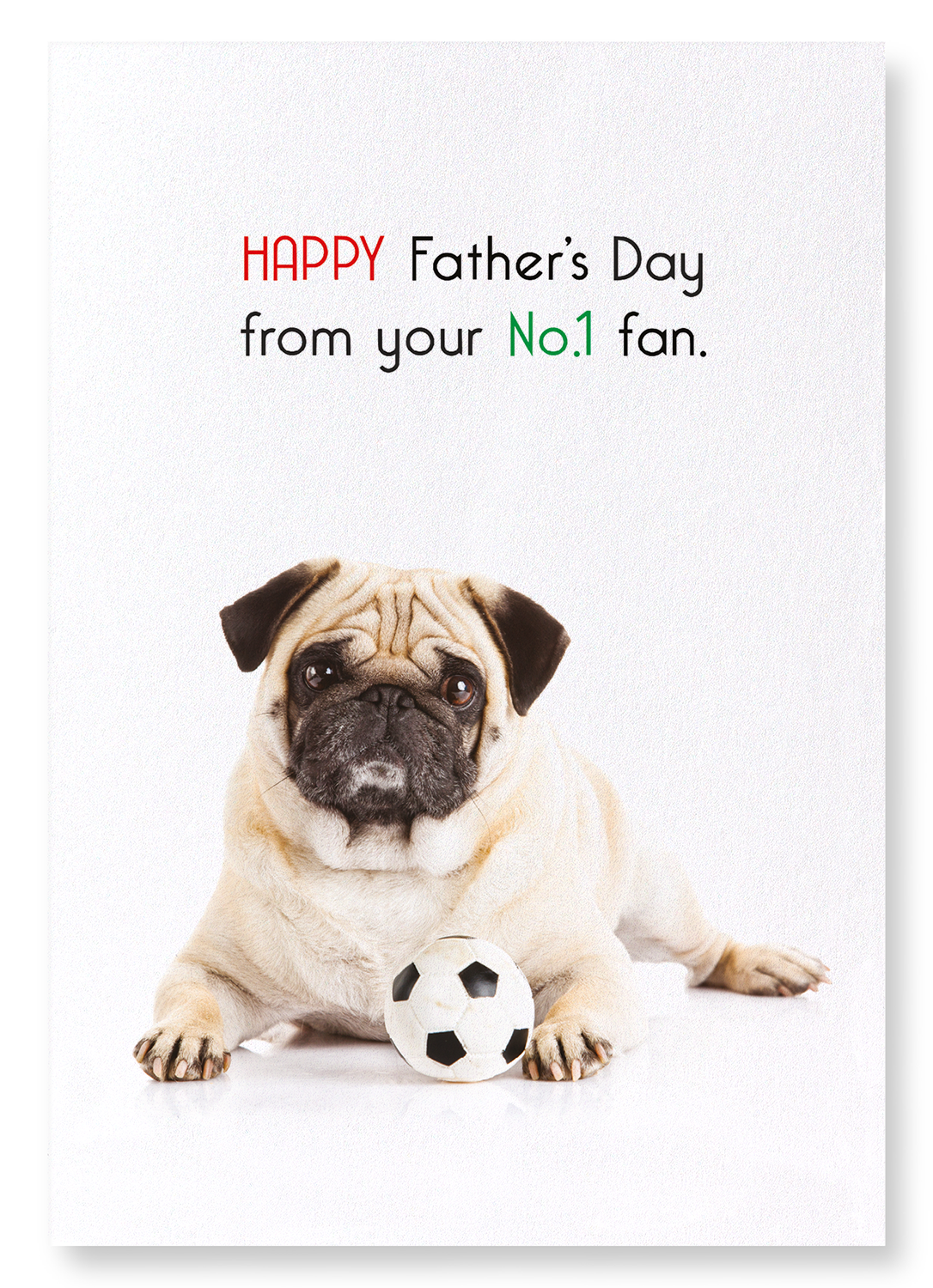 FATHER'S DAY NO.1 FAN: Funny Animal Art print