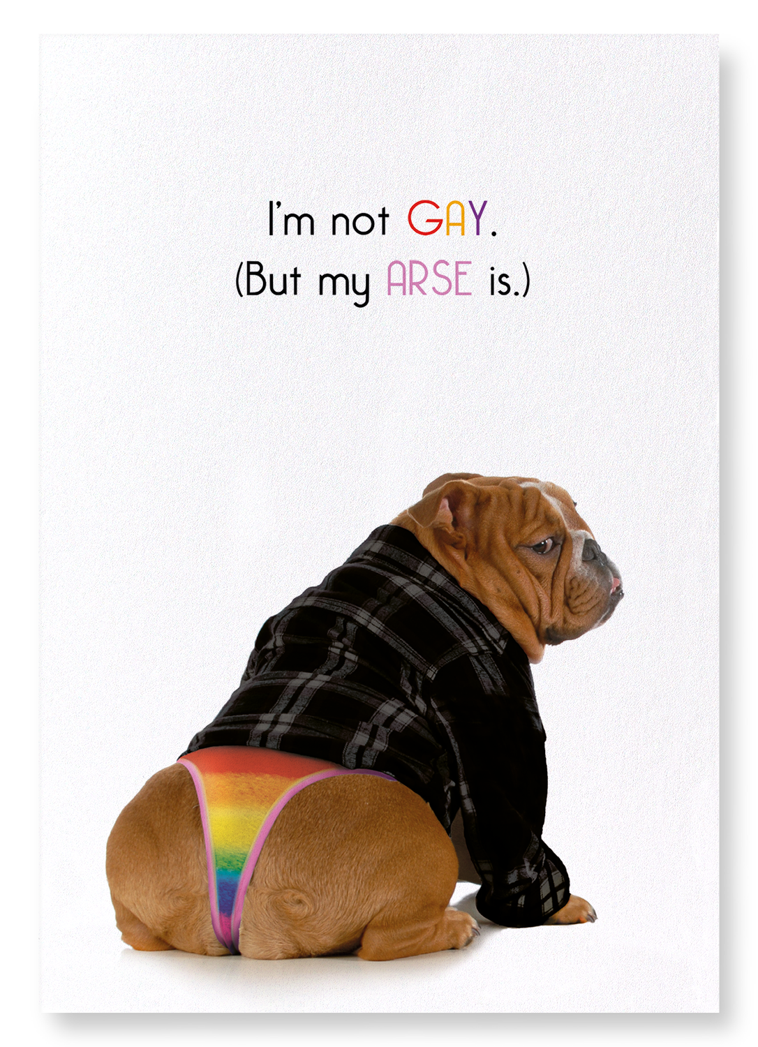 I'M NOT GAY: Funny Animal Art Print