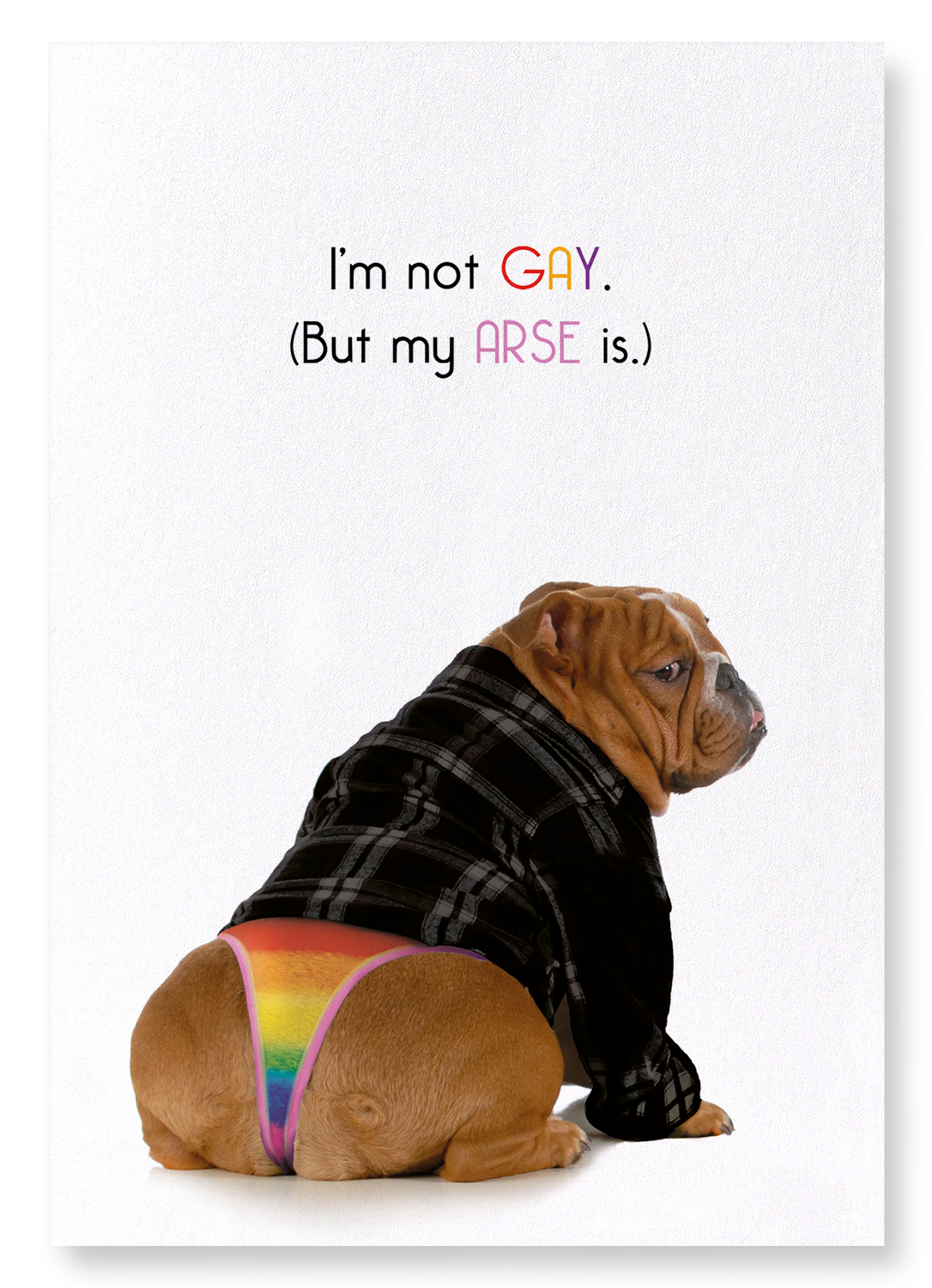 I'M NOT GAY: Funny Animal Art print