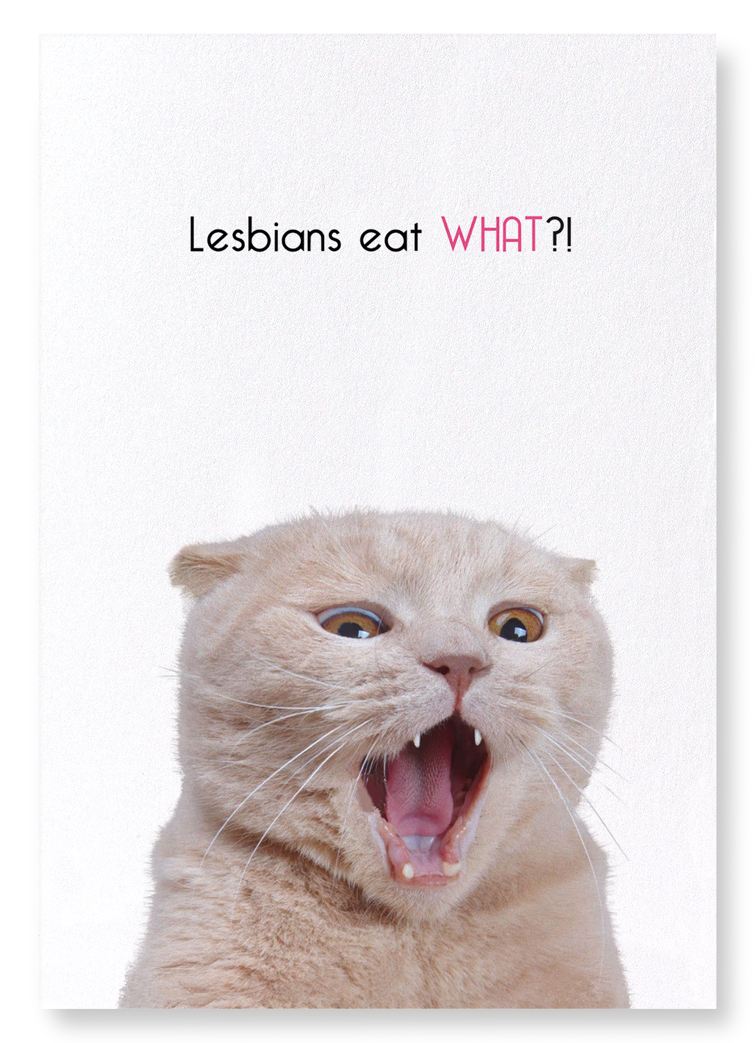 LESBIANS EAT WHAT?!: Funny Animal Art Print