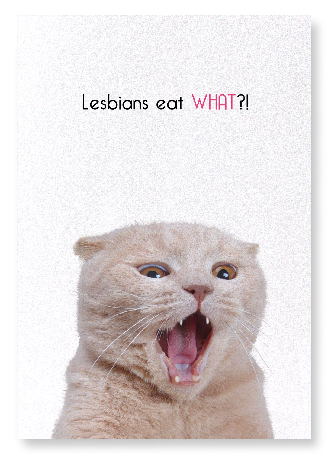 LESBIANS EAT WHAT?!: Funny Animal Art print