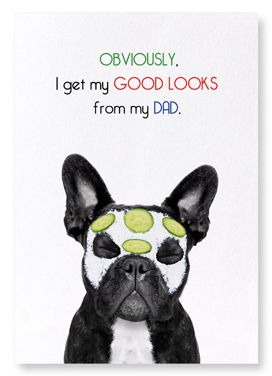 DAD'S GOOD LOOKS: Funny Animal Art Print