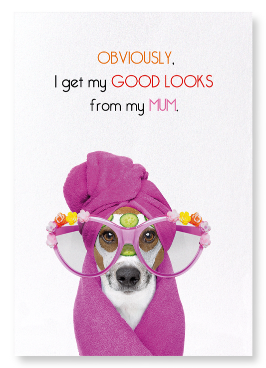 MUM'S GOOD LOOKS: Funny Animal Art Print