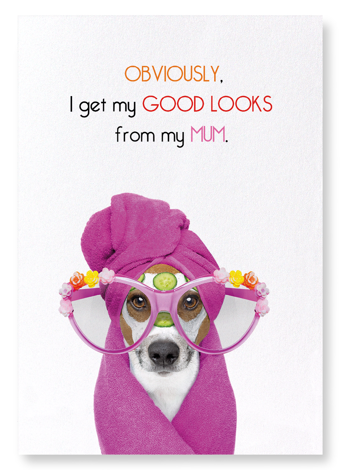 MUM'S GOOD LOOKS: Funny Animal Art print