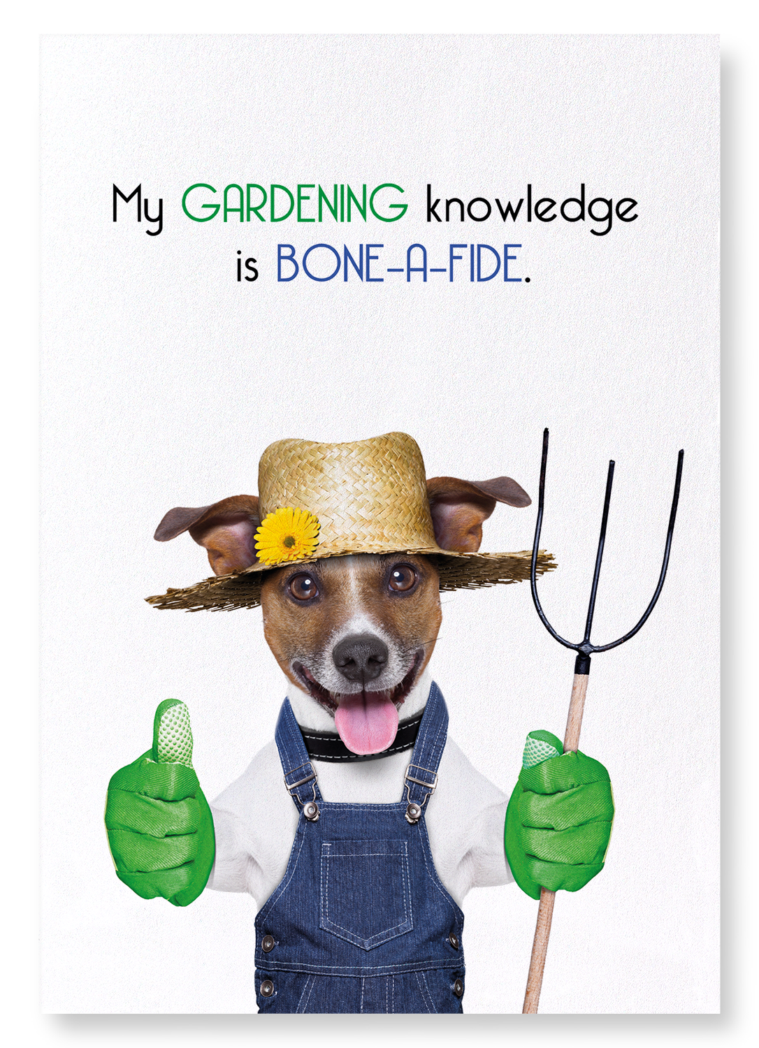 BONE-A-FIDE KNOWLEDGE: Funny Animal Art Print