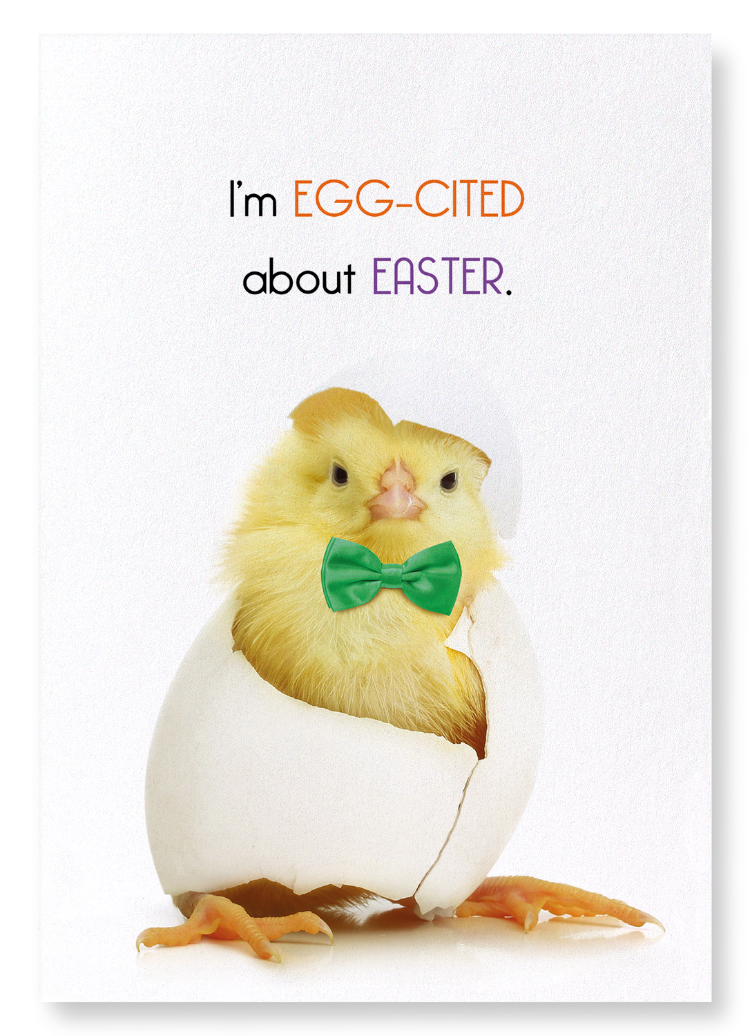 EGG-CITED ABOUT EASTER: Funny Animal Art Print