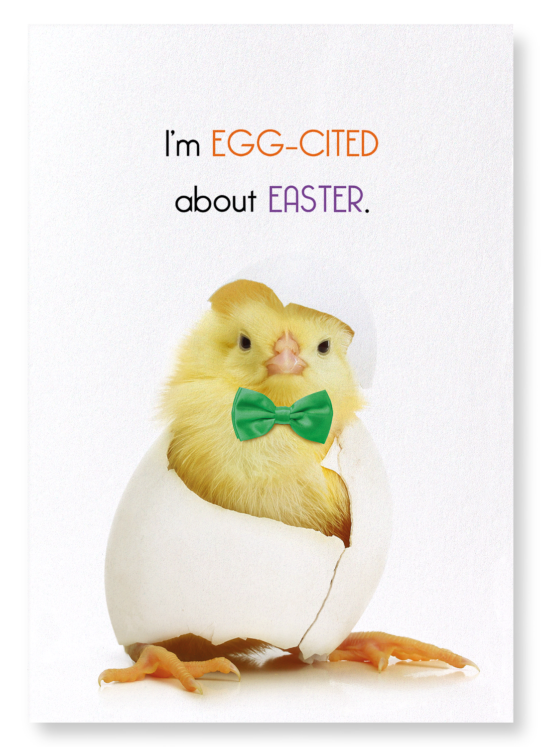 EGG-CITED ABOUT EASTER: Funny Animal Art print
