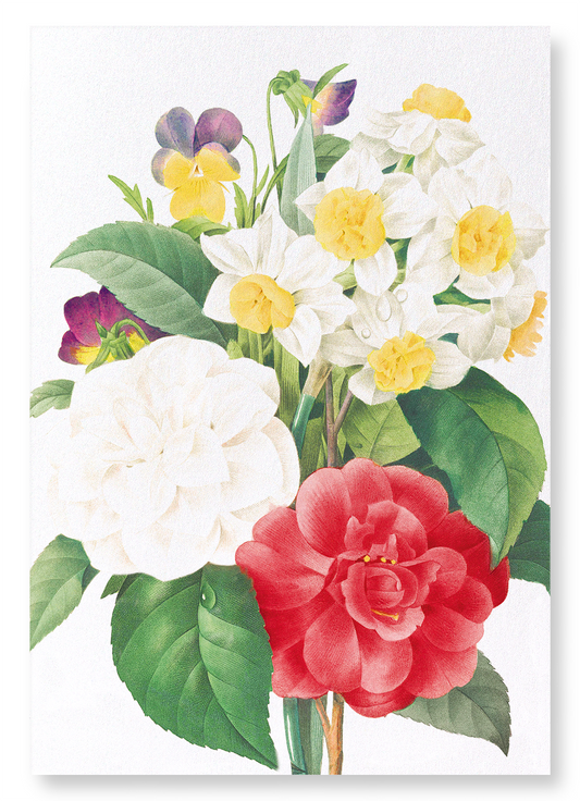 PANSIES, NARCISSUS & CAMELLIA: Botanical Art Print
