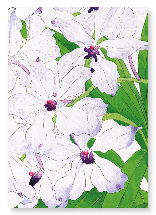 ORCHID: Botanical Art Print