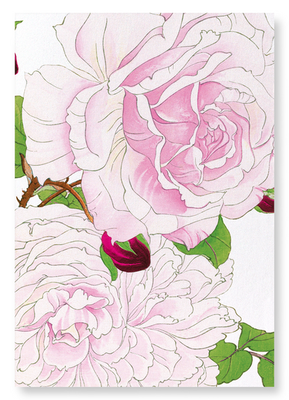 PINK ROSE: Botanical Art Print