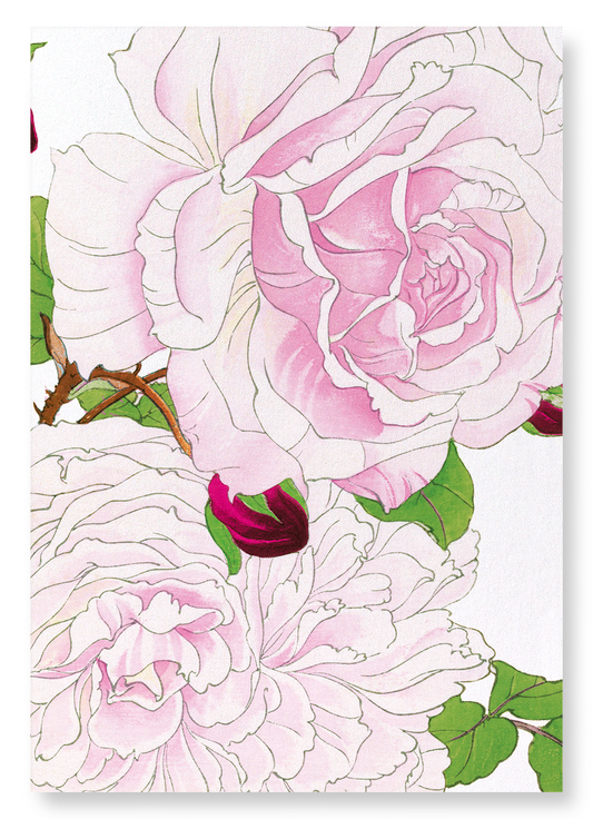 PINK ROSE: Botanical Art Print