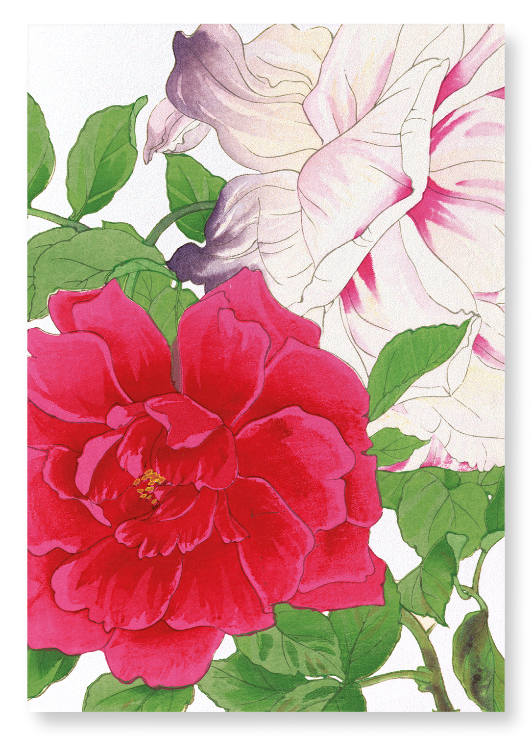ROSE: Botanical Art Print