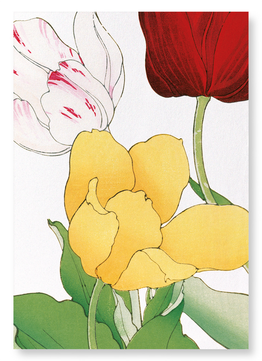 TULIP: Botanical Art Print