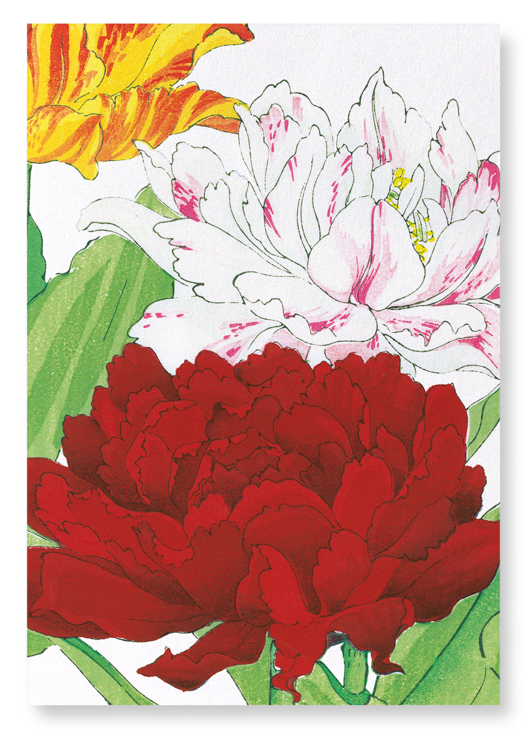 THREE FLOWERS: Botanical Art Print