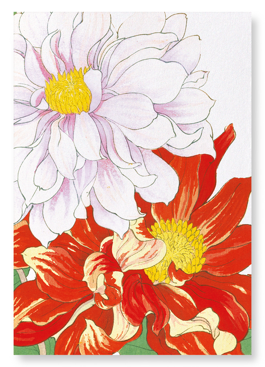 DAHLIA FLOWERS: Botanical Art Print