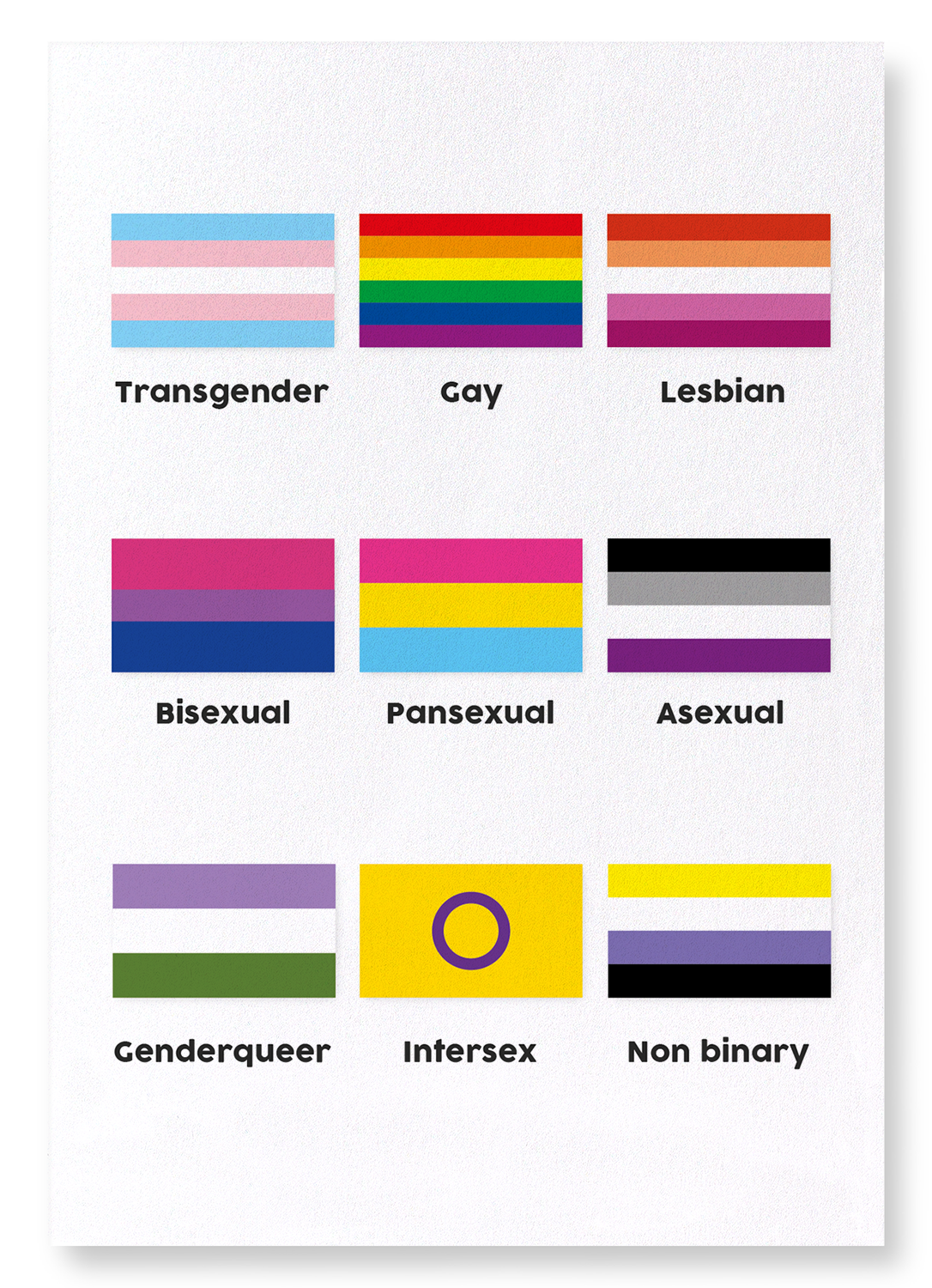 TABLE OF LGBT PRIDE FLAGS: Colourblock Art Print