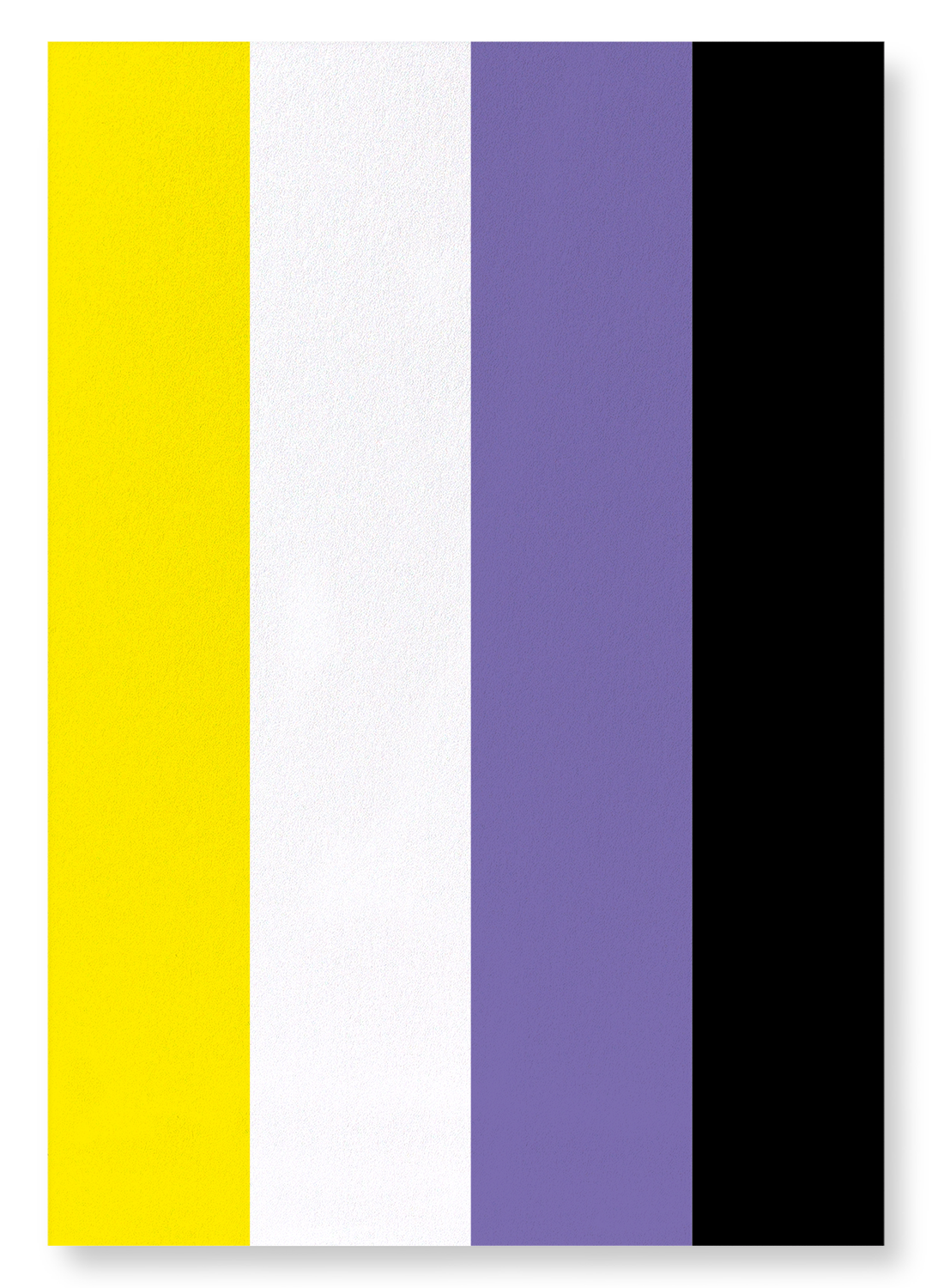 NON BINARY PRIDE FLAG: Colourblock Art Print