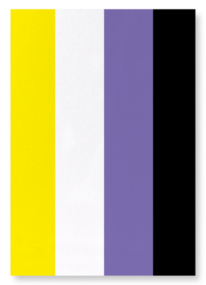 NON BINARY PRIDE FLAG: Colourblock Art Print
