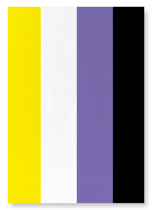 NON BINARY PRIDE FLAG: Colourblock Art Print